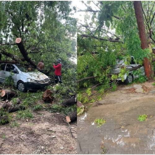 Temporal devasta áreas de Malhada e deixa moradores sem luz por horas