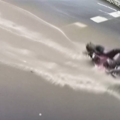Vídeo flagra motociclista sendo arrastado por enxurrada durante temporal em Vitória da Conquista