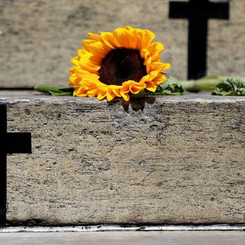 Feminicídios triplicam na Bahia em uma década e expõem falhas no governo