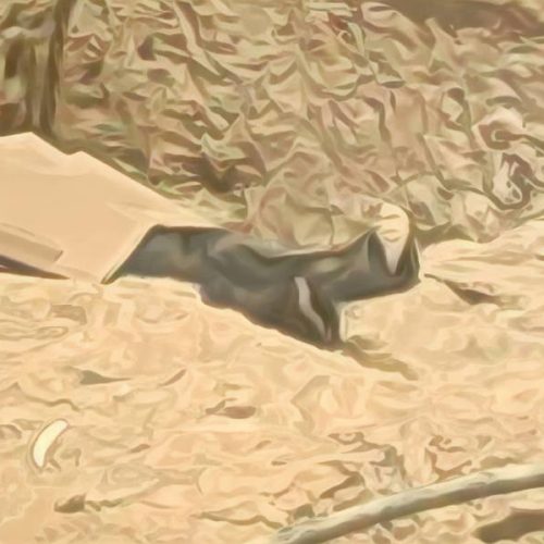Trabalhador morre após sofrer descarga elétrica durante obra em Guanambi