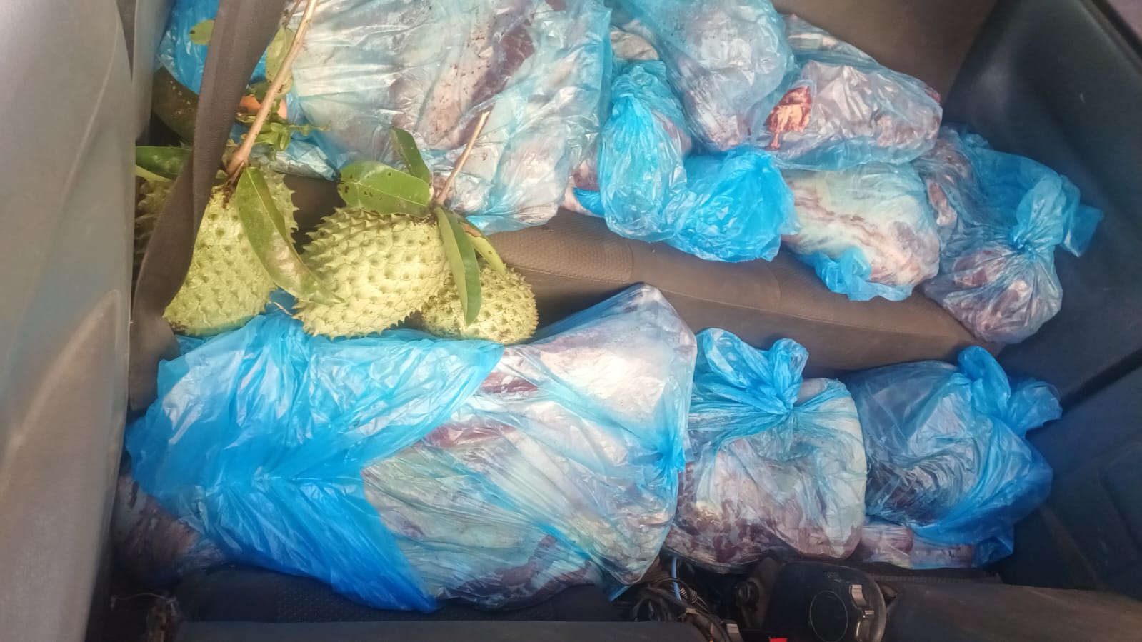 CIPRv apreende carne de suposto abate clandestino em Conquista