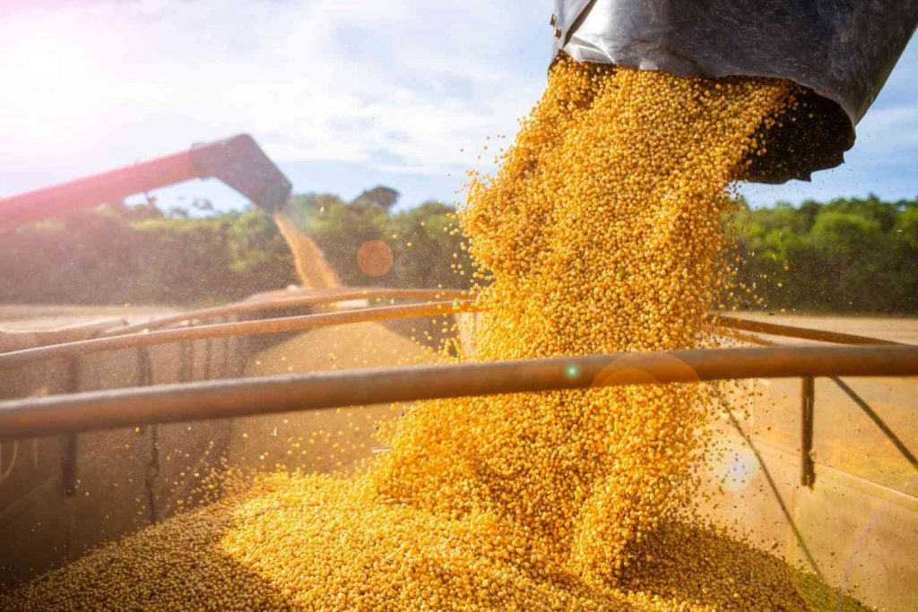Importação de soja brasileira pela China tem queda de 22,2% em abril, aponta relatório