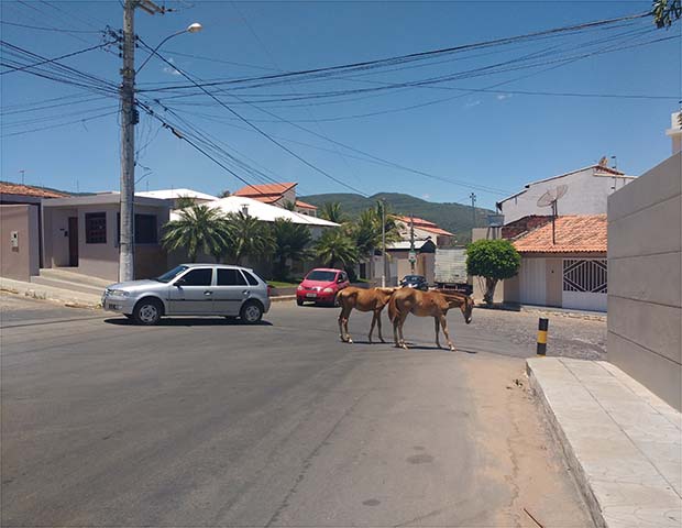 Foto Washington Tiago Sudoeste Acontece