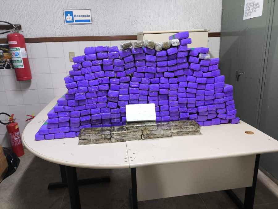 CIPRv/Brumado apreende mais de 250 quilos de drogas em van de turismo