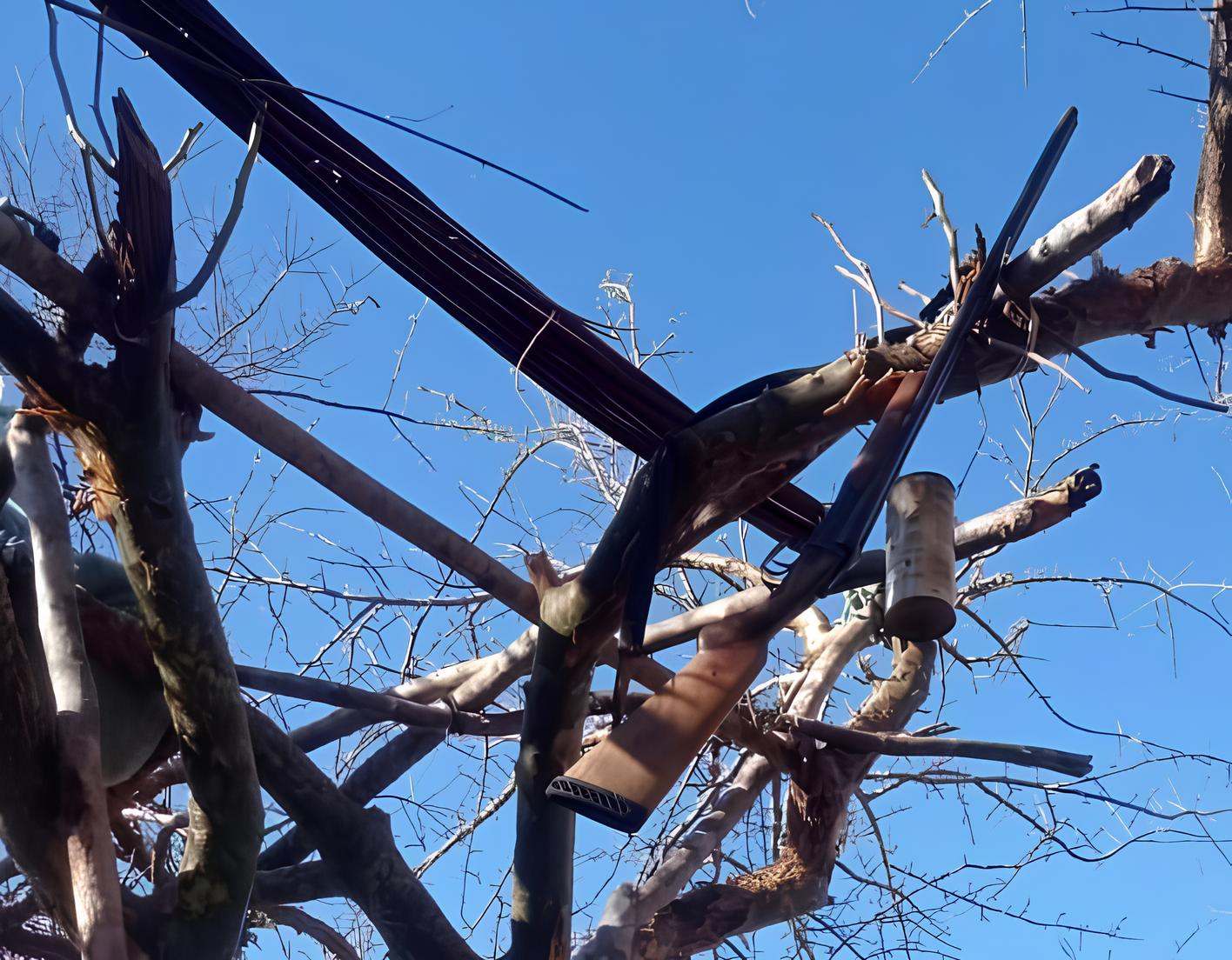 Caçador morre de forma trágica após cair de árvore e ser atravessado por galho em Jacaraci