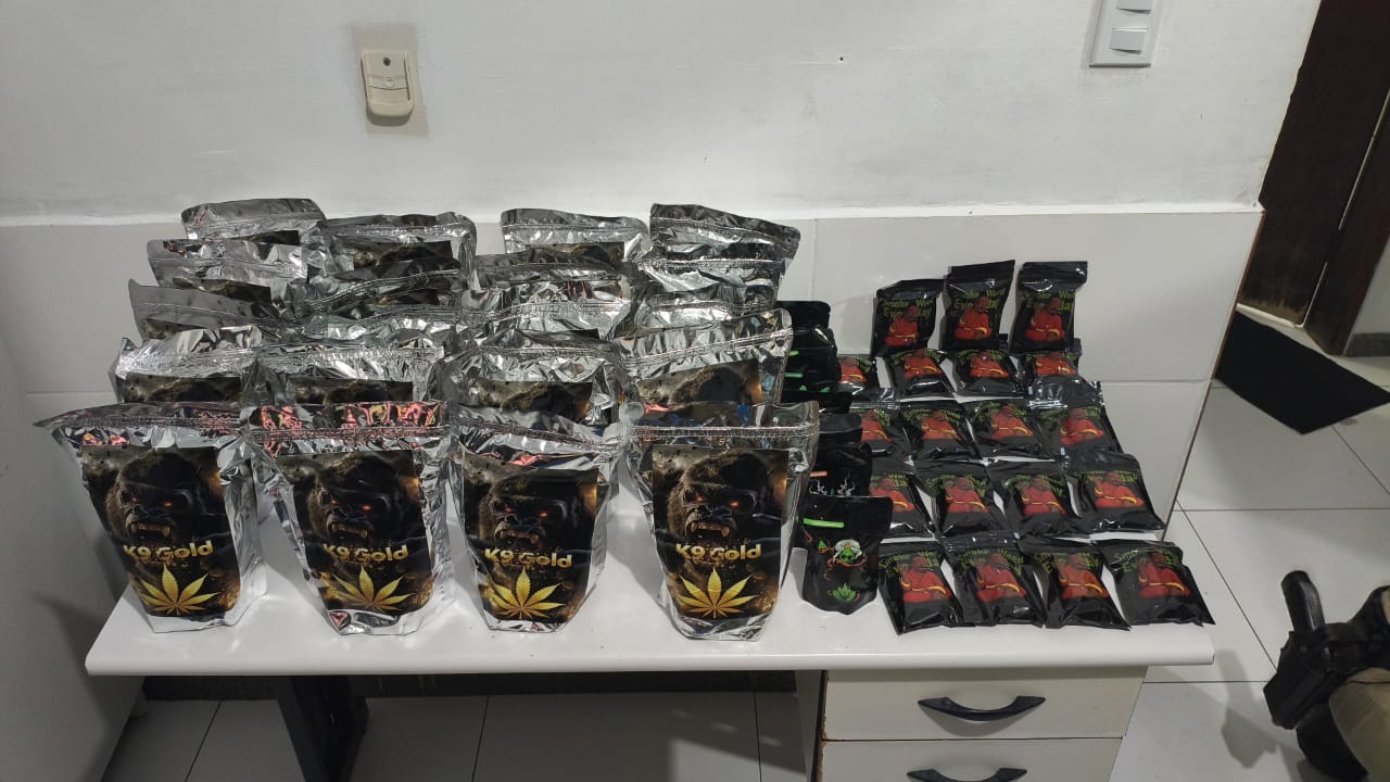 CIPRv/Brumado apreende drogas durante abordagem a ônibus em Tanhaçu