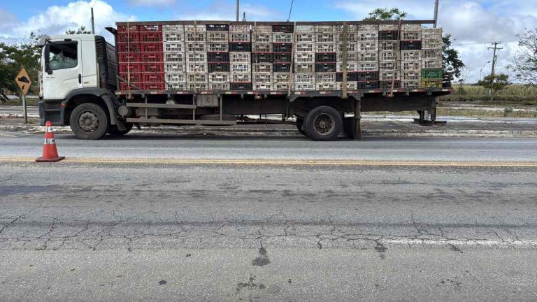 CIPRv/Brumado apreende veículo com transporte irregular de frangos na BR-415