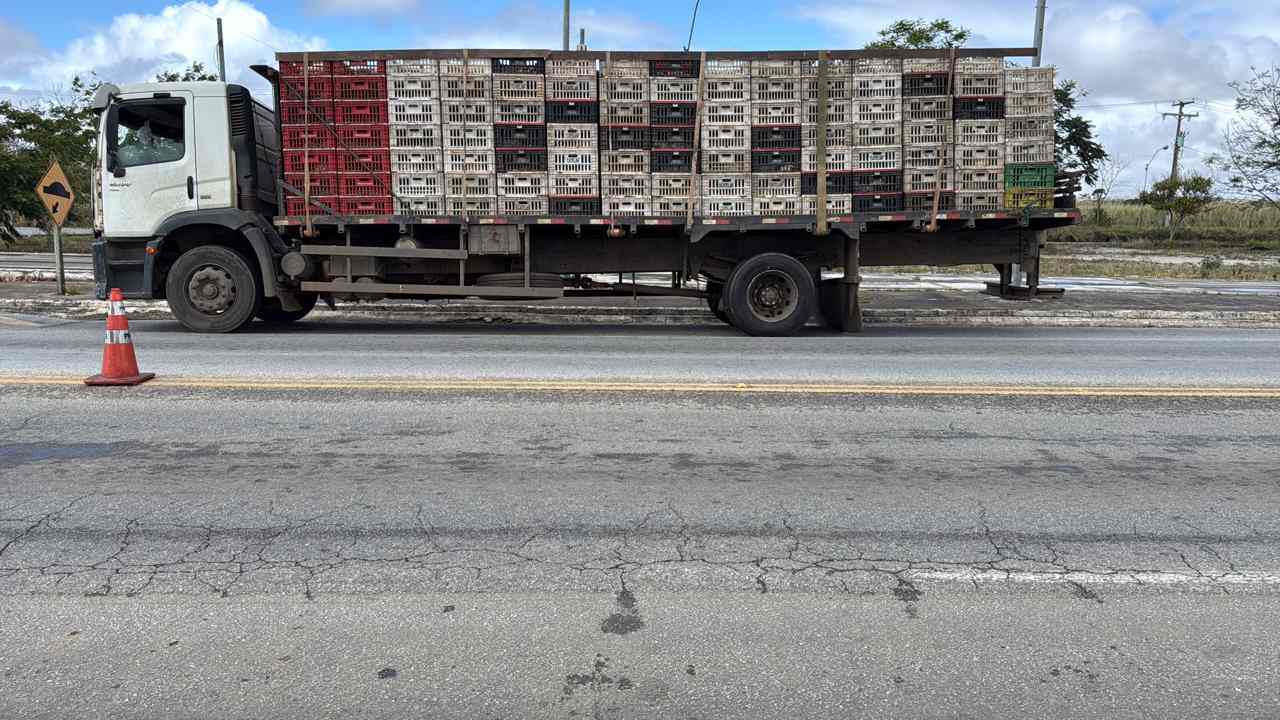 CIPRv/Brumado apreende veículo com transporte irregular de frangos na BR-415