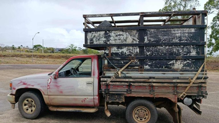 CIPRv/Brumado apreende veículo por transporte irregular de bovinos em Vitória da Conquista
