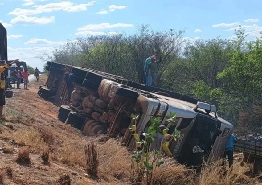 Carreta com bois tomba na BR-030; mais de 14 animais morrem e motorista fica ferido