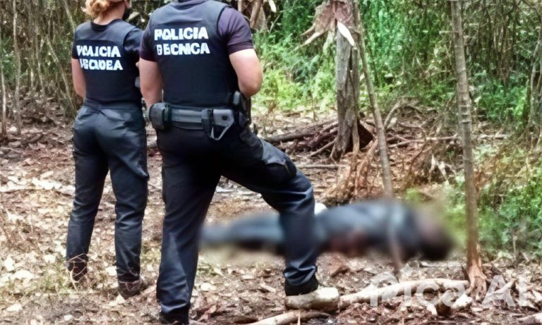 Corpo de jovem é encontrado em estado de decomposição às margens da BR-101 em Itagimirim