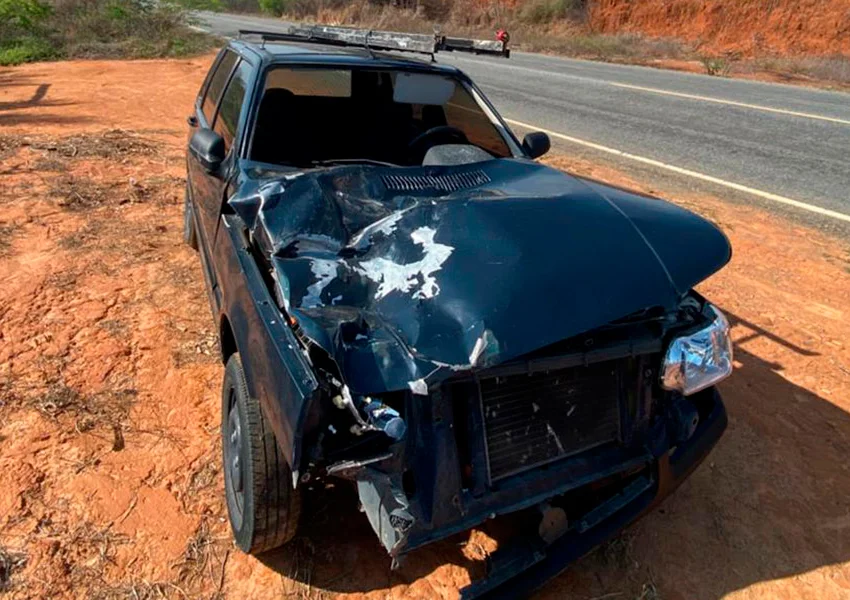 Animal solto causa acidente e destrói carro na BA-152 em Paramirim