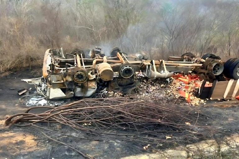 Caminhão capota, pega fogo e assusta motoristas na BA-026