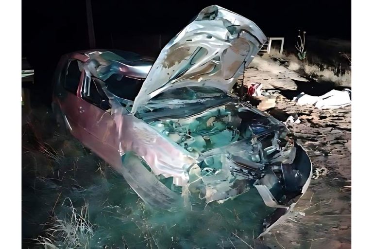 Carro bate em vaca e duas pessoas morrem na BR-030 no município de Guanambi