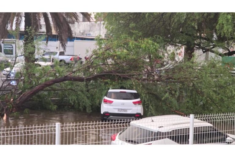 Chuva forte com ventania provoca quedas de árvores, alagamentos e falta de energia em Guanambi