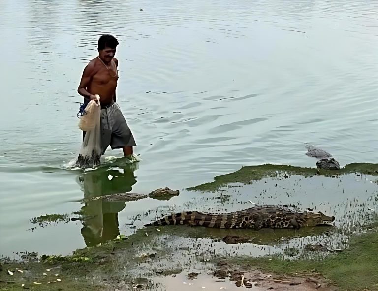 Homem encara jacarés e vira cena impressionante em Caculé