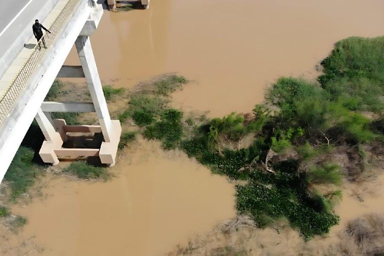 Homem que jogou mulher da ponte Guimarães Rosa é condenado a mais de 21 anos de prisão