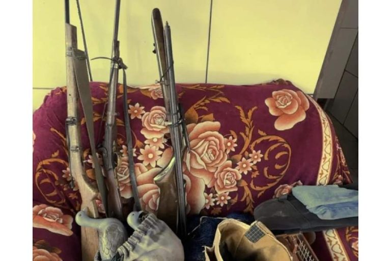 Operação Ambiental flagra arsenal e animais mortos em Casa de Criador em Ibicoara