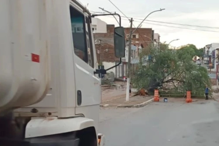 Prefeitura de Brumado mobiliza força-tarefa após temporal com ventania