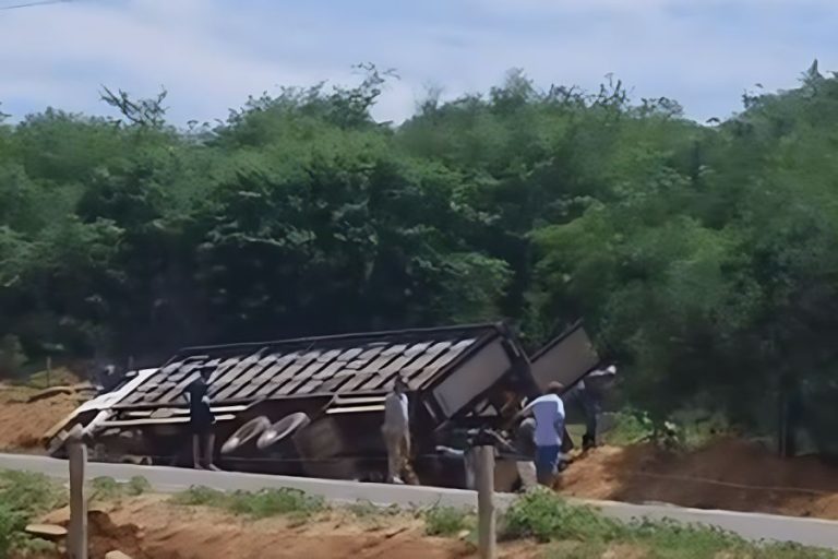 Carreta carregada com gado tomba na BR-342 em Malhada; motorista escapa ileso