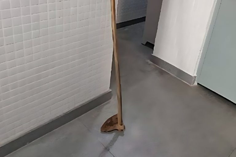 Homem é preso após ameaçar a mãe com enxada; idosa corre para se salvar em Palmas de Monte Alto