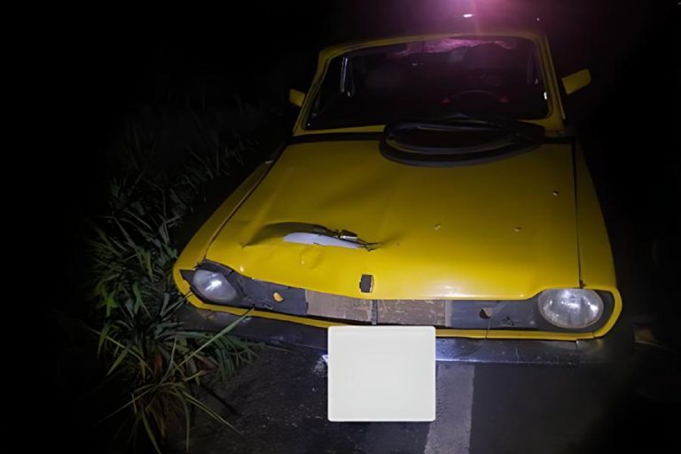 Animal solto na pista provoca acidente e deixa mulher ferida na BR-122, em Urandi