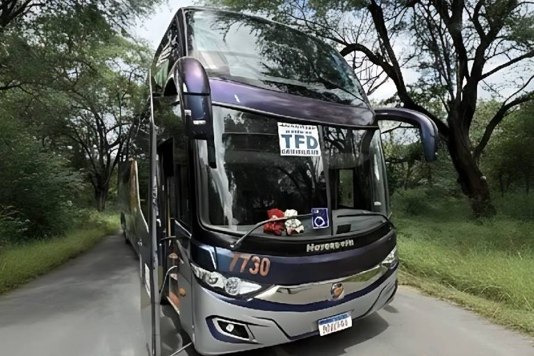 Brumado reforça saúde e disponibiliza novos ônibus para Transporte Fora do Domicílio