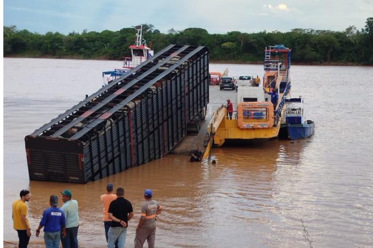 Carreta com gado cai de balsa após rompimento de cabo e fica submersa no Rio São Francisco