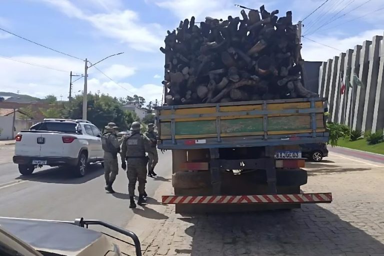 Fiscalização flagra caminhão com madeira ilegal e motosserra irregular na BA-152, em Paramirim