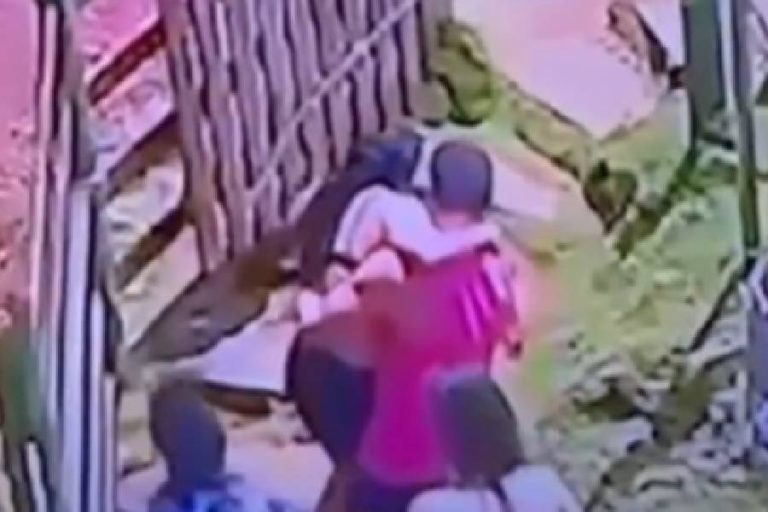 Mulher de Vitória da Conquista é picada por cobra e segue em coma