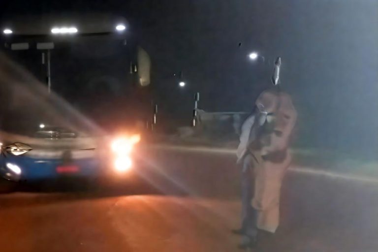 Ônibus bate em cavalo na BA-262 em Brumado; animal morre e acidente reacende alerta