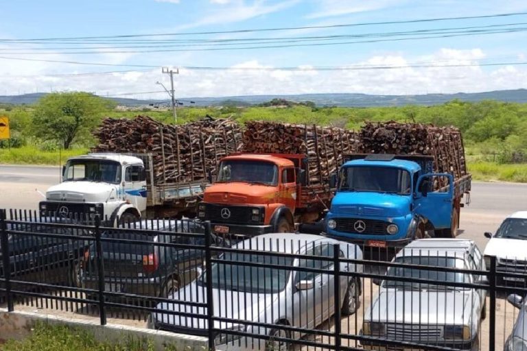 Polícia intercepta carga ilegal de madeira nativa na BR-030 e apreende 90 m³ no sudoeste da Bahia