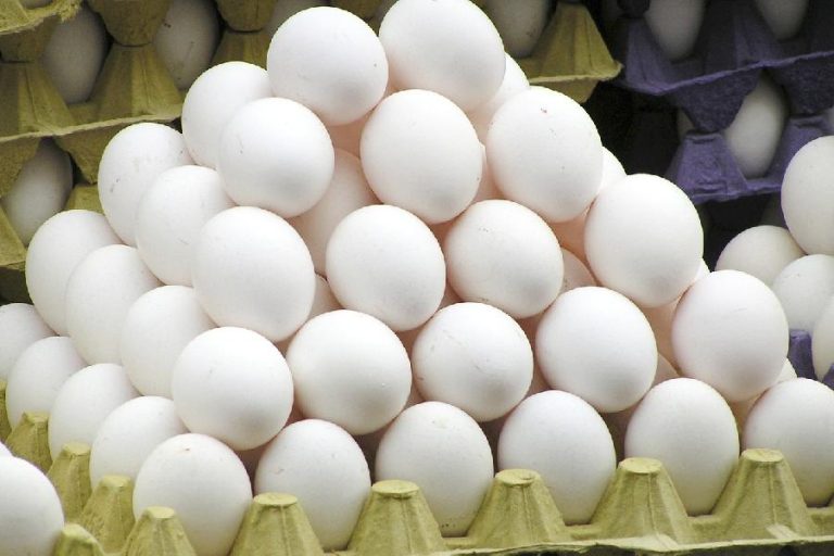 Superprodução derruba preço do ovo no Sertão Produtivo e acende alerta entre produtores