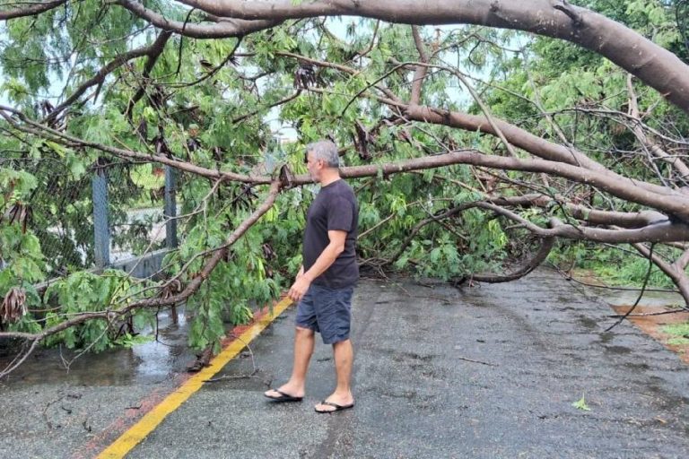 Temporal de 100 mm causa estragos e mobiliza equipes em Guanambi