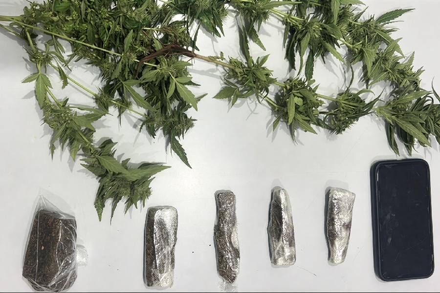 Ação da CIPE Sudoeste leva homem à delegacia por tráfico em Paramirim