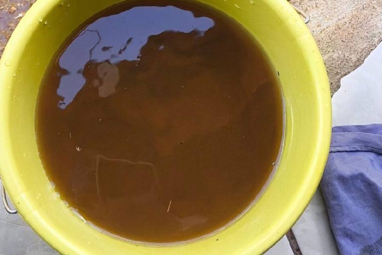 Água amarelada revolta moradores e gera denúncia contra SAAE em Dom Basílio