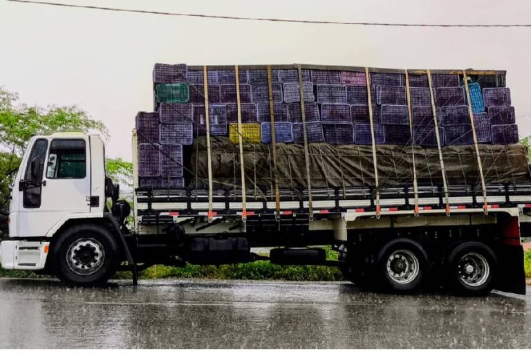 CIPRv/Brumado apreende 290 sacos de cimento sem nota fiscal em fiscalização em Urandi