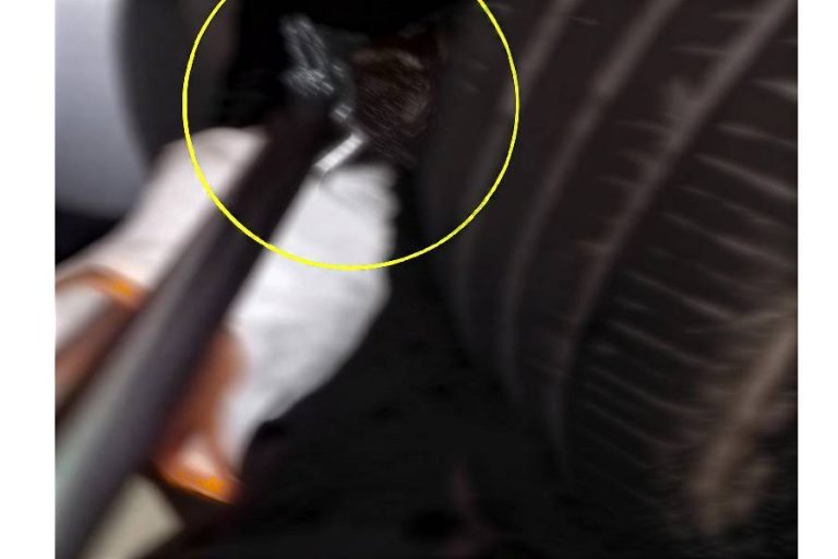 Cobra invade carro em Brumado e mobiliza bombeiros por horas no bairro São Félix