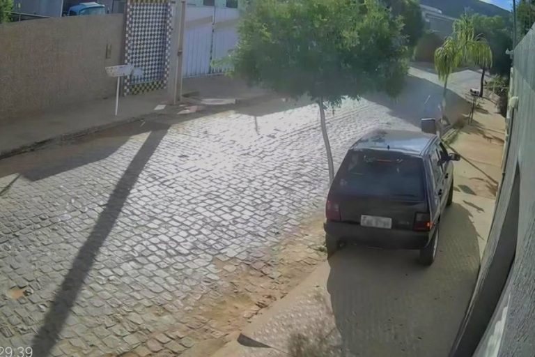 Condutor perde controle, sobe em calçada e colide com árvore