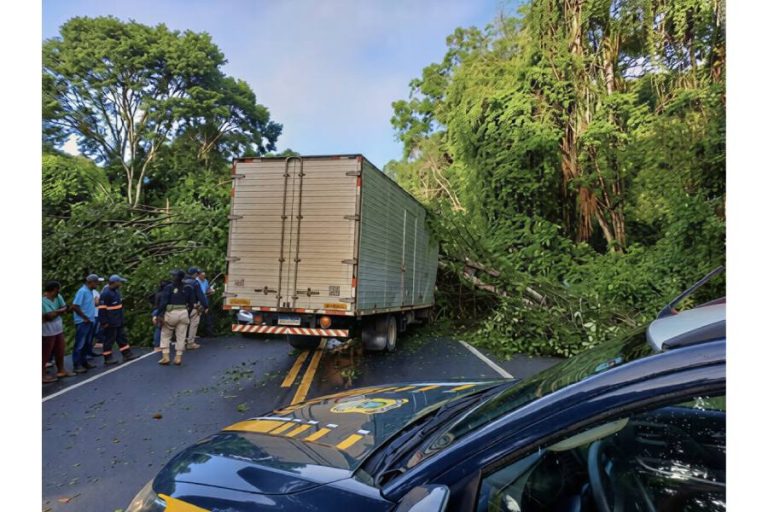 Árvore despenca sobre ambulância, causa morte e deixa feridos na BR-415