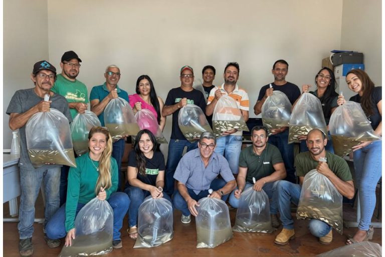 Caculé recebe 43 mil alevinos para repovoar barragens e impulsionar piscicultura local