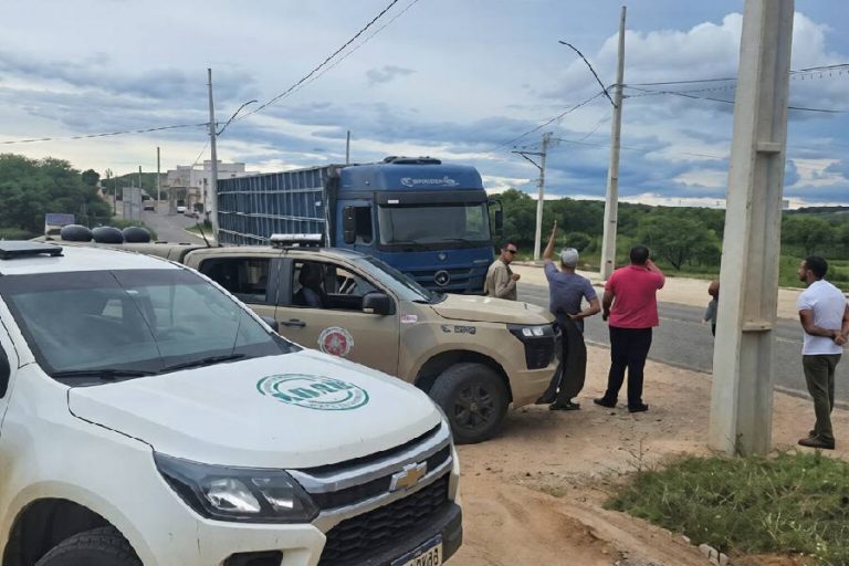Caminhão boiadeiro é interceptado após fugir de fiscalização em Urandi