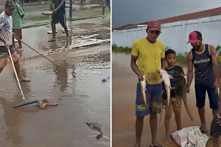 Chuva forte arrasta peixes para ruas e surpreende moradores em Ipiaú; vídeos viralizam nas redes