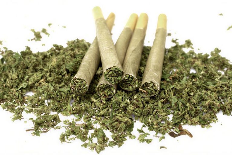 Consumo de drogas dispara no Brasil e acende alerta; maconha lidera avanço e uso cresce 80% em 11 anos