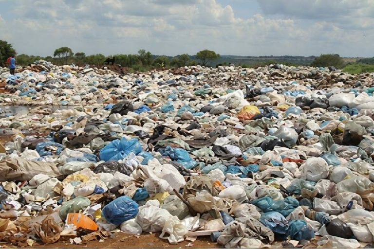 Corpo é encontrado em lixão na cidade de  Planalto