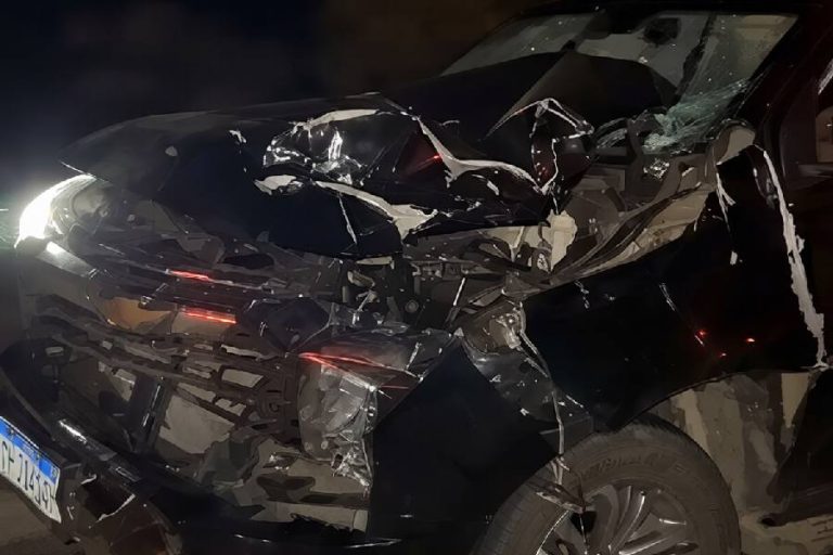 Deputado estadual sofre acidente com animal na pista e escapa ileso após carro ficar destruído