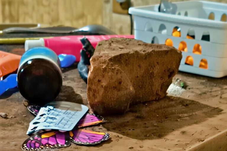 Filho é preso após agredir a própria mãe com tijolos em Brumado