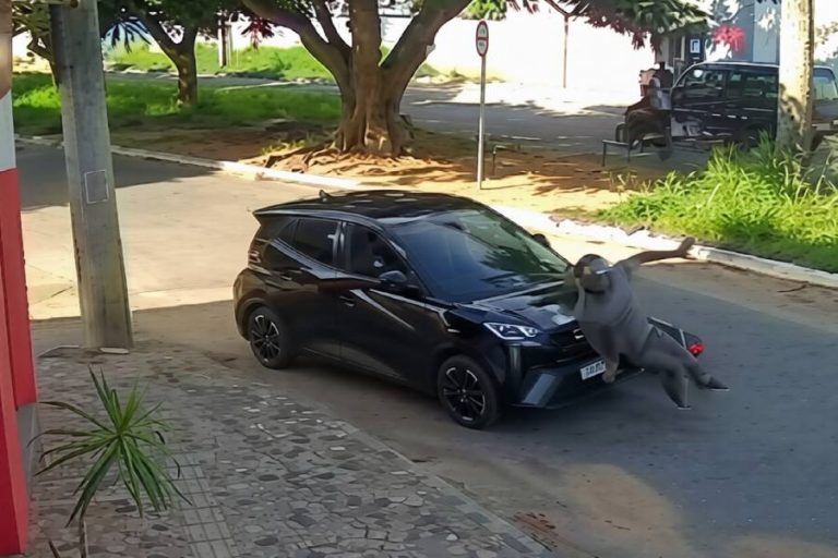 Motociclista é arrastado por carro e fica em estado gravíssimo após acidente em Conquista