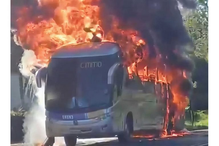 Ônibus da Rota pega fogo próximo a Ilhéus e vídeo mostra chamas altas na rodovia