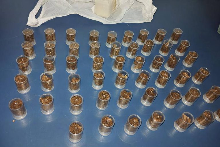 Polícia prende homem com drogas durante ação na madrugada em Ribeirão do Largo